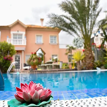 Apartment Overlooking Heated Pool